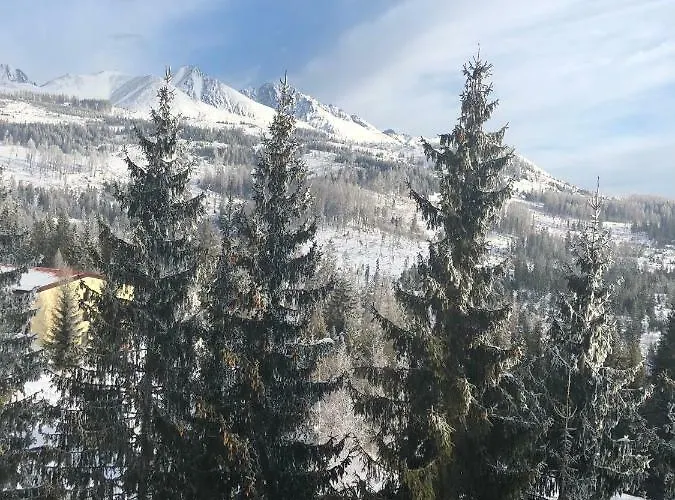 Tatry - Spacious 3bd, Netflix & Fast Internet Διαμέρισμα Tatranska Strba